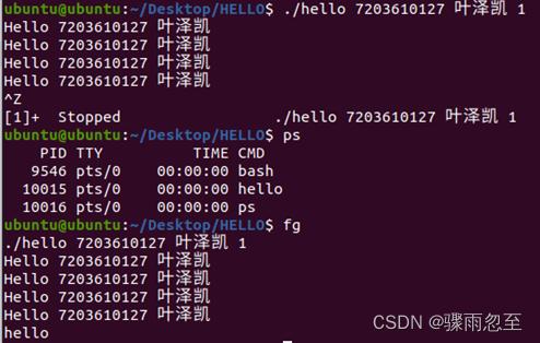 cs從計算機系統的角度分析程序的一生