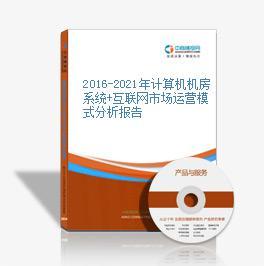 2016-2021年計算機機房系統(tǒng)+互聯(lián)網(wǎng)市場運營模式分析報告