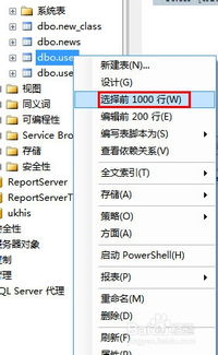 計算機專業畢業設計 新增數據庫字段